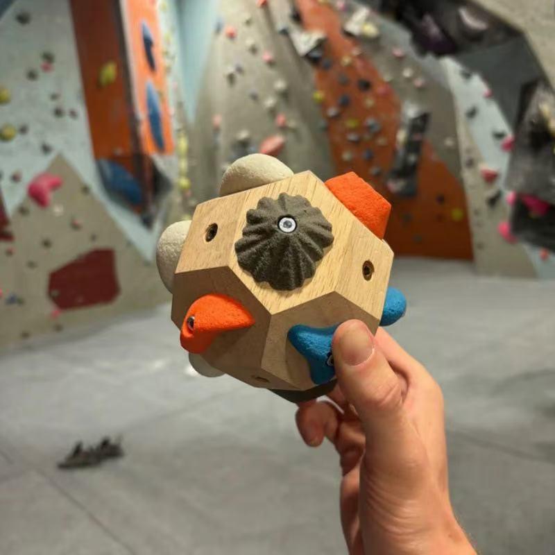 Bloc d'escalade fabriqué à la  - Power Tools Training avis et prix