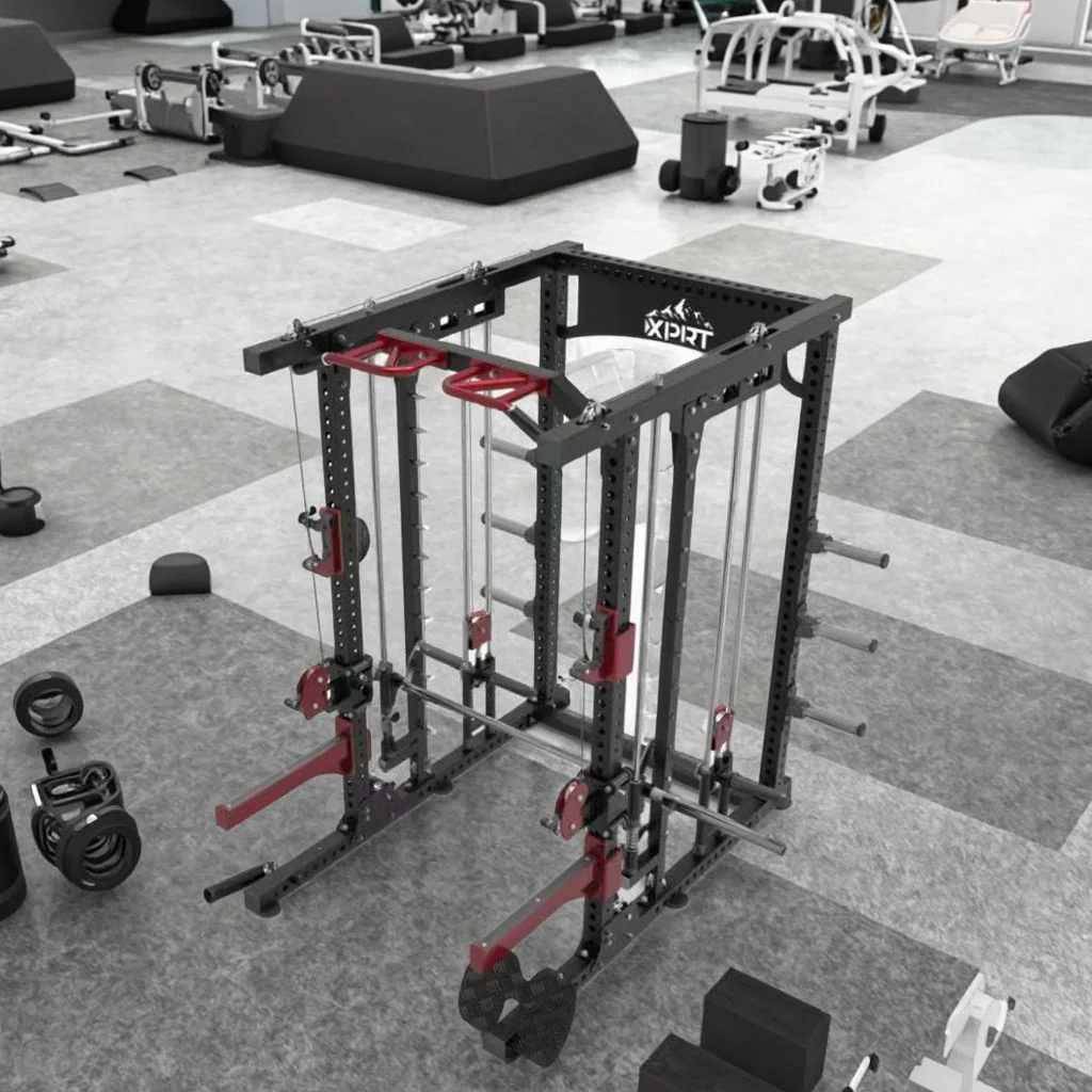 Meilleures ventes : Cage de mu - Power Tools Training avis et prix