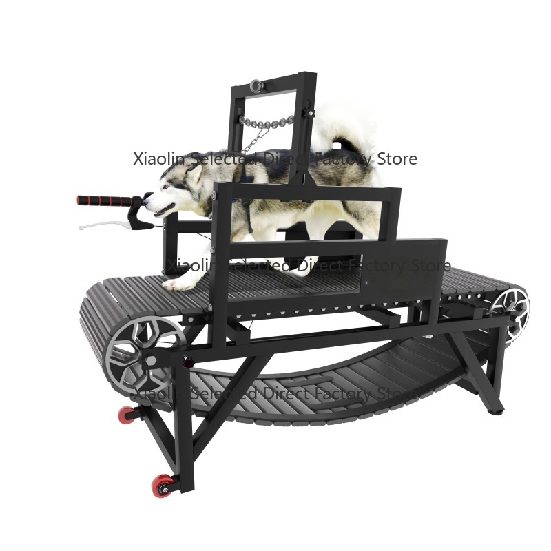 Tapis de course pour chien aut - Power Tools Training avis et prix
